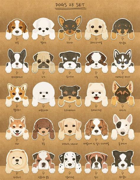 Top 25 dog set dogstore dog training – Artofit